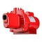 Red Lion Shallow Well Jet Pump RJS-50-PREM - alternate 1