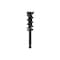 Fcs Struts Suspension Strut And Coil Spring Assembly 1355178R - alternate 1