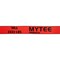 Mytee Products 2inx30ft Heavy Duty Red Winch Straps Tie Down w/Flat Hook for Truck WLL# 3,333 lbs WS230R - alternate 9