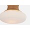 Hudson Valley Lighting Pearl river 11 in. Flush Mount Aged Brass 2308-AGB - alternate 7