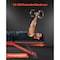 Vevor Weight Bench Sit up Bench for Home Gym Strength Training Adjustable Foldable SJ602 - alternate 7