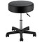 Vevor Round Rolling Stool Swivel Stool with Wheels PU Leather Height Adjustable PST001 - alternate 1