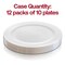 Smarty Had A Party 9" White with Silver Edge Rim Plastic Buffet Plates (120 Plates), 120PK 119S-CASE - alternate 10