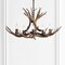Jonathan Y Eldora 30" 5-Light Rustic Farmhouse Adjustable Resin Antler LED Chandelier, Brown JYL6300A - alternate 13