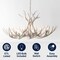 Jonathan Y Eldora 36" 8-Light Rustic Farmhouse Adjustable Resin Antler LED Chandelier, Beige JYL6319B - alternate 12