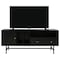 Leisuremod Rochester Rectangular TV Stand with Enclosed Storage and Powder Coated Iron Legs, Ebony RTS60BL - alternate 10