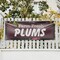 Signmission Farm Fresh Plums, 24 Inch x 72 Inch, Vinyl Banner B-72-30609 - alternate 5
