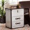 Baxton Studio Calidore Vintage Silver Metal 2-Drawer End Table 251-13873-ZORO - alternate 10