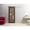 Sartodoors Sturdy Barn Door Clear Tempered Glass, Lucia 2366 Matte Black and Aluminum Strips, 6.6FT Silver Ra LUCIA2366BD-S-BLK-24 x 96 - alternate 7