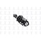 Fcs Struts Suspension Strut And Coil Spring Assembly 1333800R - alternate 5