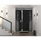 Vdomdoors Steel Door Cynex 6777 Black 2 Sidelight Exterior Windows Stainless Inserts Single Modern Painted-W1 CYNEX6777EXD-BLK-W14+36+14 x H80-Left-hand Inswing - alternate 6