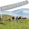 Wrightmaster 70.8 in. x 328 ft. 14-Gauge Reinforced Hot-Dip Galvanized Poultry Fencing ZOR-P461627 - alternate 7