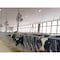 Canarm Standard Duty Industrial Fan, Ceiling, Wall Mount, 20 in Blade Dia, 120/208-280V, 6,500 cfm CA20AG-EC - alternate 3