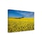 Trademark Fine Art Outdoor Canvas Art - Peter Elgar 'The Canola Field' Wall Art for Patios, or Gardens 1X11667-OC3047WR - alternate 1