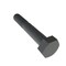 Zoro Select Not Graded, 5/16"-18 Hex Head Cap Screw, Black Oxide Stainless Steel, 2 in L, 50 PK 31-BLH-31C-200 - alternate 4