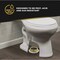Everflow Extra Thick Toilet Gasket Wax Ring w/ Flange & Bolts Fits 3''&4'' Line TRZR1005 - alternate 9