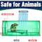Campior Humane Mouse Trap, Large, No-Kill, Pet Safe, Easy Clean, No-Touch Release, Green, 2PK CMPMU7GRS22 - alternate 7