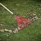 Corona Tools Spring Brace Rake, 22 in. Head, 22 Tines, Hardwood Handle RK 24002 - alternate 4