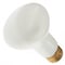 Ilc Replacement Incandescent Bulb, 50W, 120V, R20, medium, 2PK LIGHT BULB / LAMP 50R20/W/FV 120V - alternate 2