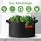 Ipower 15-Gallon Grow Bag Thickened Nonwoven Fabric Pots, Black w/Green Stitch Sewing, 5PK GLGROWBAG15X5EGRN - alternate 9