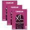 Canson XL Series Palette Pad, Foldover Binding, 40 Sheet, 9x12 inch, 3PK C100510953 - alternate 1