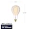 Bulbrite Grand Nostalgic Collection 60w Dimmable Pear Shape Oversized Decorative Med (E26) Base, 2200K Amber 137101 - alternate 6