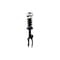 Fcs Struts Suspension Strut And Coil Spring Assembly 1355038R - alternate 1