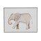 Homeroots Elephant White Floater Frame Print Wall Art 573459 - alternate 1
