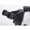 Motic Instruments Usa SM7TR-TLED A1X Trinocular Stereo Microscope, Plan Achromat Obj 1X, LED Reflected/ Transmitted Stand 1100201800041 - alternate 4