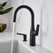 Blanco Rivana Bar 1.5 GPM, Matte Black 443021 - alternate 6