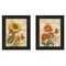 Homeroots Set Of Two Flowers 2 Black Framed Print Wall Art, 2PK 405663 - alternate 1