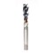 Osg SPIRAL FLUTE Tap, 100 mm, M17x1.25 1650013408 - alternate 6
