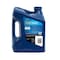 Valvoline 2-Cycle Engine Oil, 1 gal., Bottle, Green 773735 - alternate 3