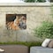 Trademark Fine Art Outdoor Canvas Art David Stribbling Big Boy Wall Art for Patios, or Gardens GRL00295-OC2432WR - alternate 5