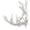 Jonathan Y Eldora 30" 5-Light Rustic Farmhouse Adjustable Resin Antler LED Chandelier, White JYL6300B - alternate 16