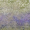 Homeroots 3' X 5' Green Purple And Black Abstract Washable Indoor Outdoor Area Rug 603089 - alternate 9