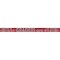 Musgrave Pencil Co 1st Graders Are #1 Pencils, 144PK D1505/12 - alternate 4
