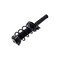 Fcs Struts Suspension Strut And Coil Spring Assembly 2335957 - alternate 5