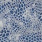 Homeroots 10' X 14' Navy Blue And Ivory Geometric Washable Indoor Outdoor Area Rug 595102 - alternate 9