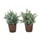 Monarch Specialties Artificial Plant, 13'' Tall, Eucalyptus Grass, Indoor, Fake, Decorative, Brown Pots, 2PK I 9560 - alternate 2