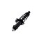 Fcs Struts Suspension Strut And Coil Spring Assembly 1345971R - alternate 5