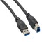 Sanoxy 10ft USB 3.0 A Male to B Male Cable, Black SNX-CBL-LDR-U3102-1110 - alternate 1