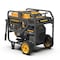 Firman Portable Generator, 30 A, 120/240 VAC, Gasoline, 13 gal Tank, 11 hr Run Time, Electric Start P12002 - alternate 4