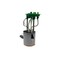 Autobest Fuel Pump Module Assembly, Audi A4 2.0L L4 2009; A4 Quattro 2.0L L4 2009-05; 3.2L V6 2009-05; RS4 F4692A - alternate 10