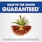 Roundup Weed and Grass Killer RTU Liquid 1 gal 5375204 - alternate 10