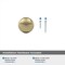 Amerock Edona 1-1/4 inch (32mm) Diameter Golden Champagne Cabinet Knob, 25PK 25VMP53005BBZ - alternate 7