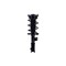 Fcs Struts Suspension Strut And Coil Spring Assembly 1334472R - alternate 1