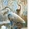 Homeroots Set Of Two Marsh Herons I and Sea II White Framed Print Wall Art, 2PK 408046 - alternate 5