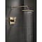 Delta Vero Monitor 17 Series Shower Trim T17253-CZ-WE - alternate 7