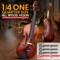 Pyle 1/4 Size Beginner Violin Starter Kit, Violin Starter Package with Travel Case & Bow, Extra Strings PGVILN14 - alternate 5